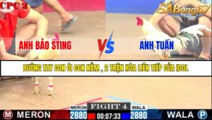TRẬN 4 C2 6/6/2025