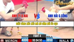 TRẬN 4 C3 6/6/2025