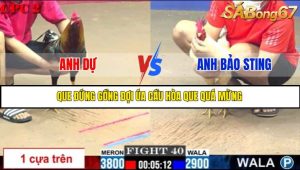 TRẬN 40 C2 6/6/2025