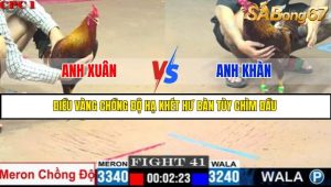 TRẬN 41 C1 5/6/2025