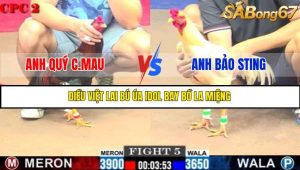 TRẬN 5 C2 1/6/2025