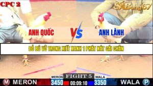 TRẬN 5 C2 3/6/2025