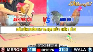 TRẬN 6 C1 7/6/2025