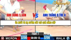 TRẬN 7 C3 3/6/2025