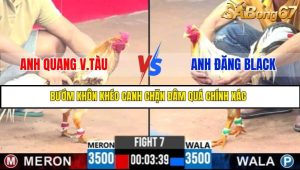 TRẬN 7 C3 6/6/2025