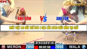 TRẬN 8 C1 3/6/2025