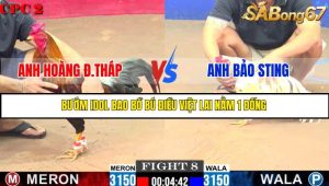 TRẬN 8 C2 6/6/2025