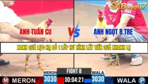 TRẬN 8 C3 3/6/2025