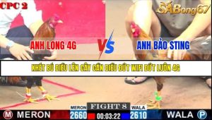 TRẬN 8 CPC2 1/6/2025