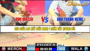 TRẬN 9 C1 7/6/2025