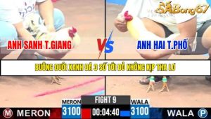 TRẬN 9 C3 5/6/2025