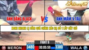TRẬN 9 C3 6/6/2025